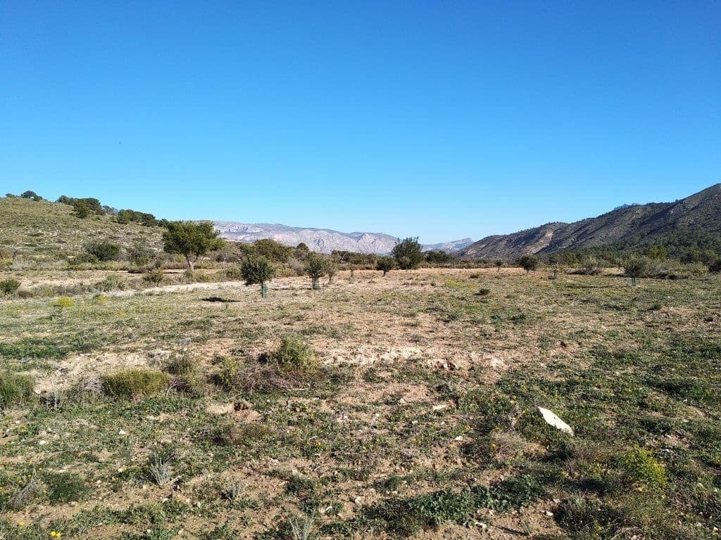 Grunde uden byggetilladelser til salg i Relleu - € 245.000 (Ref: 8039605)