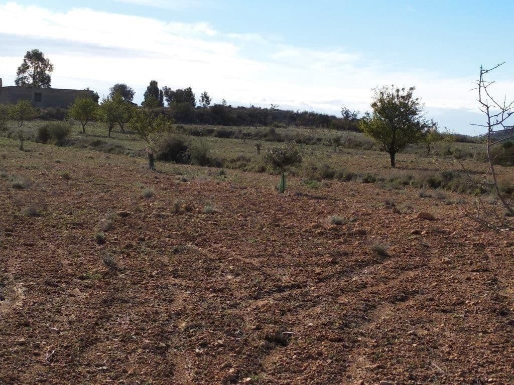 Grunde uden byggetilladelser til salg i Relleu - € 245.000 (Ref: 8039605)