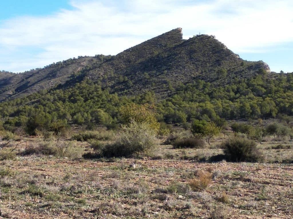 Grunde uden byggetilladelser til salg i Relleu - € 245.000 (Ref: 8039605)