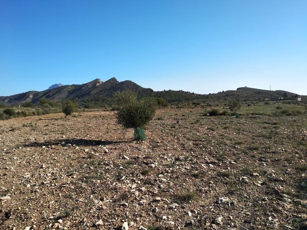 Grunde uden byggetilladelser til salg i Relleu - € 245.000 (Ref: 8039605)