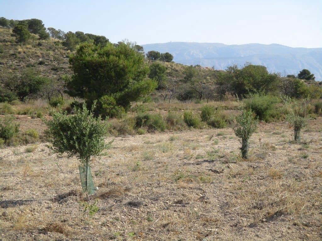 Grunde uden byggetilladelser til salg i Relleu - € 245.000 (Ref: 8039605)