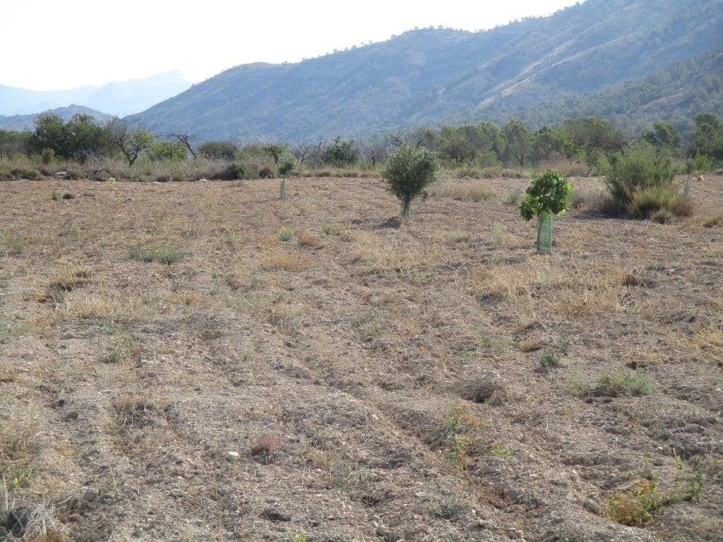 Grunde uden byggetilladelser til salg i Relleu - € 245.000 (Ref: 8039605)