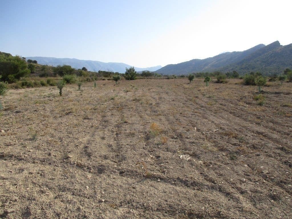 Grunde uden byggetilladelser til salg i Relleu - € 245.000 (Ref: 8039605)