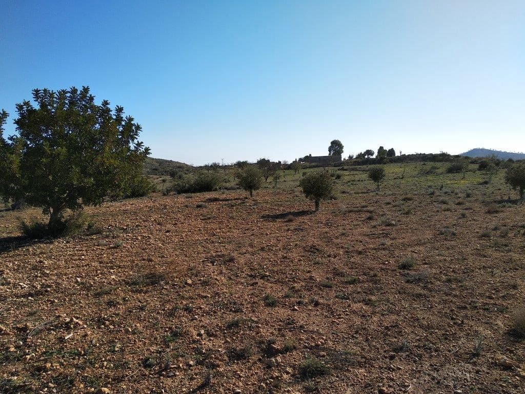 Grunde uden byggetilladelser til salg i Relleu - € 245.000 (Ref: 8039605)