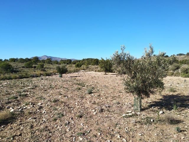 Grond te koop in Relleu - € 245.000 (Ref: 8039605)