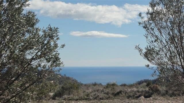 Grunde uden byggetilladelser til salg i Relleu - € 245.000 (Ref: 8039605)