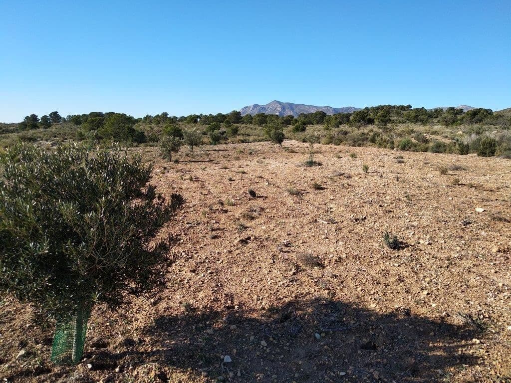 Grunde uden byggetilladelser til salg i Relleu - € 245.000 (Ref: 8039605)