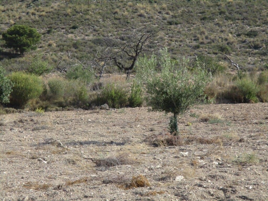 Grunde uden byggetilladelser til salg i Relleu - € 245.000 (Ref: 8039605)