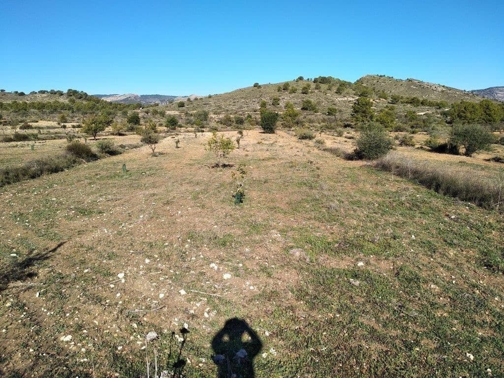 Grunde uden byggetilladelser til salg i Relleu - € 245.000 (Ref: 8039605)