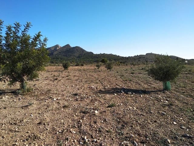 Grond te koop in Relleu - € 245.000 (Ref: 8039605)