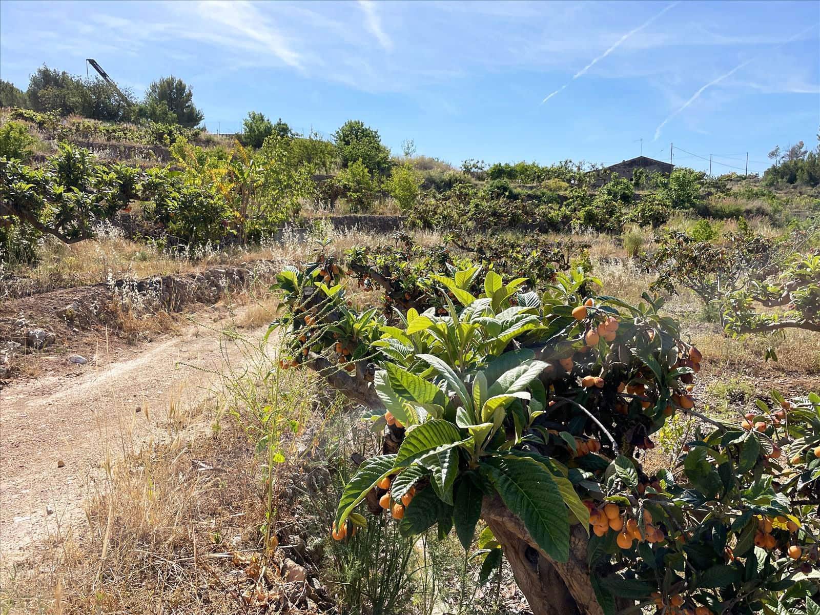 Finca/Landehus til salg i Callosa d'En Sarria - € 157.000 (Ref: 9016806)