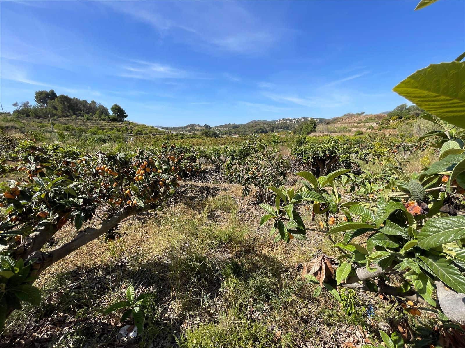 Finca/Landehus til salg i Callosa d'En Sarria - € 157.000 (Ref: 9016806)
