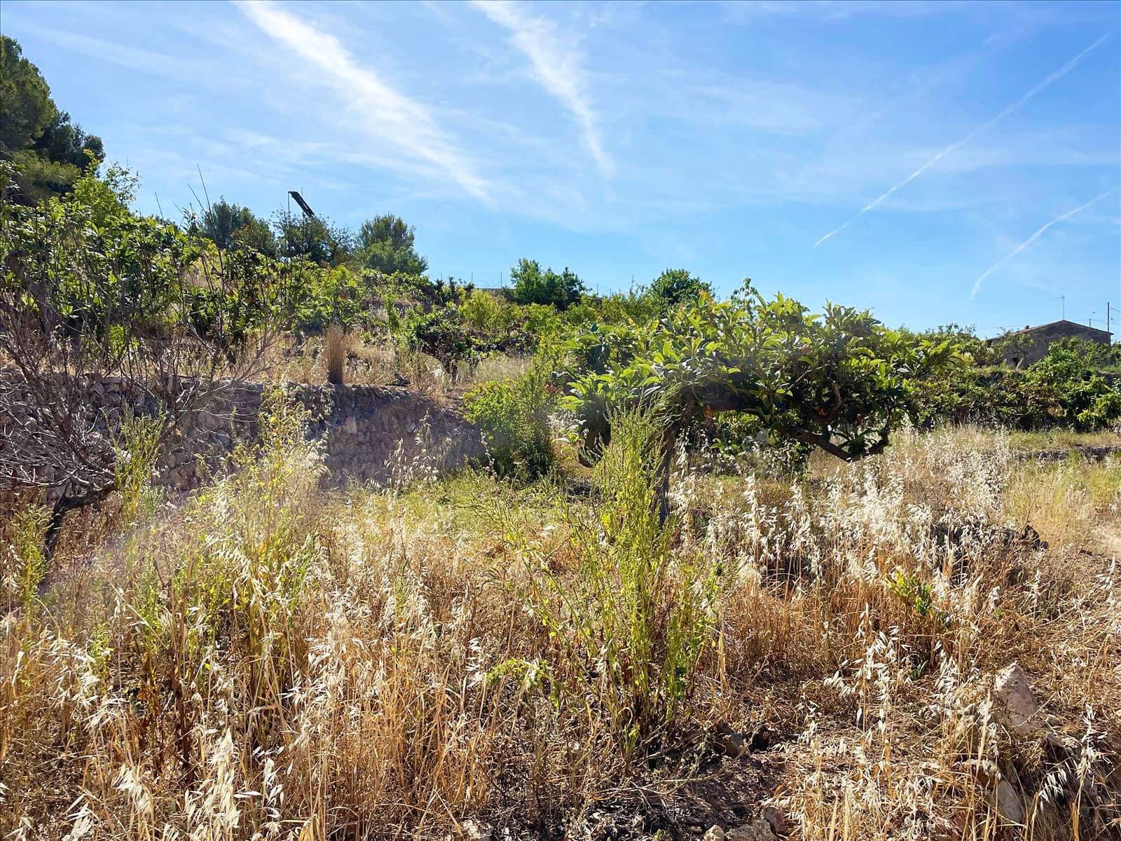 Finca/Landehus til salg i Callosa d'En Sarria - € 157.000 (Ref: 9016806)