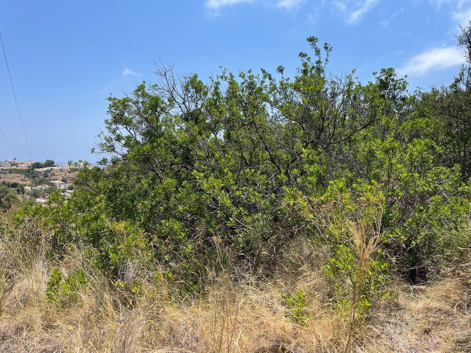 Terreno Non Edificato in vendita in Calpe / Calp - 149.000 € (Rif: 9129489)