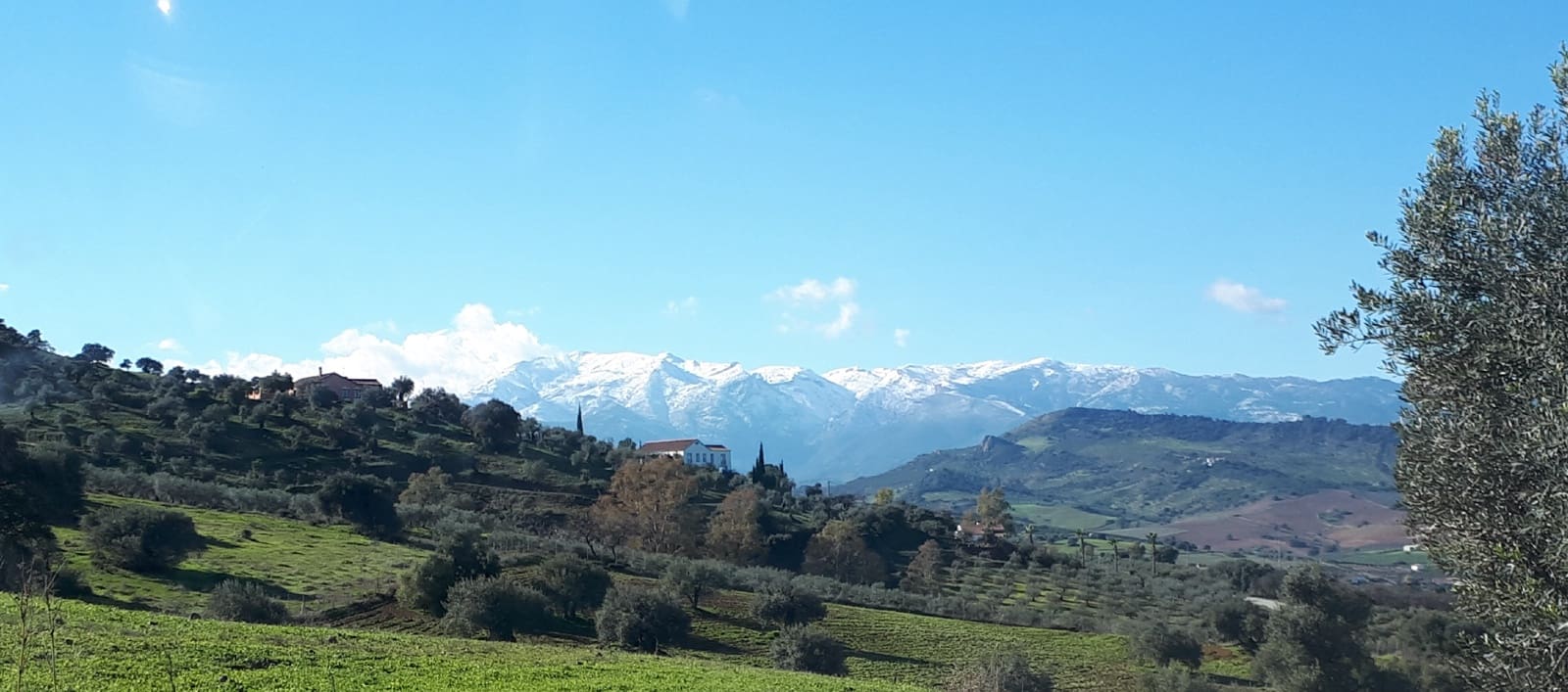 Bouwgrond te koop in Malaga stad - € 225.000 (Ref: 9202708)