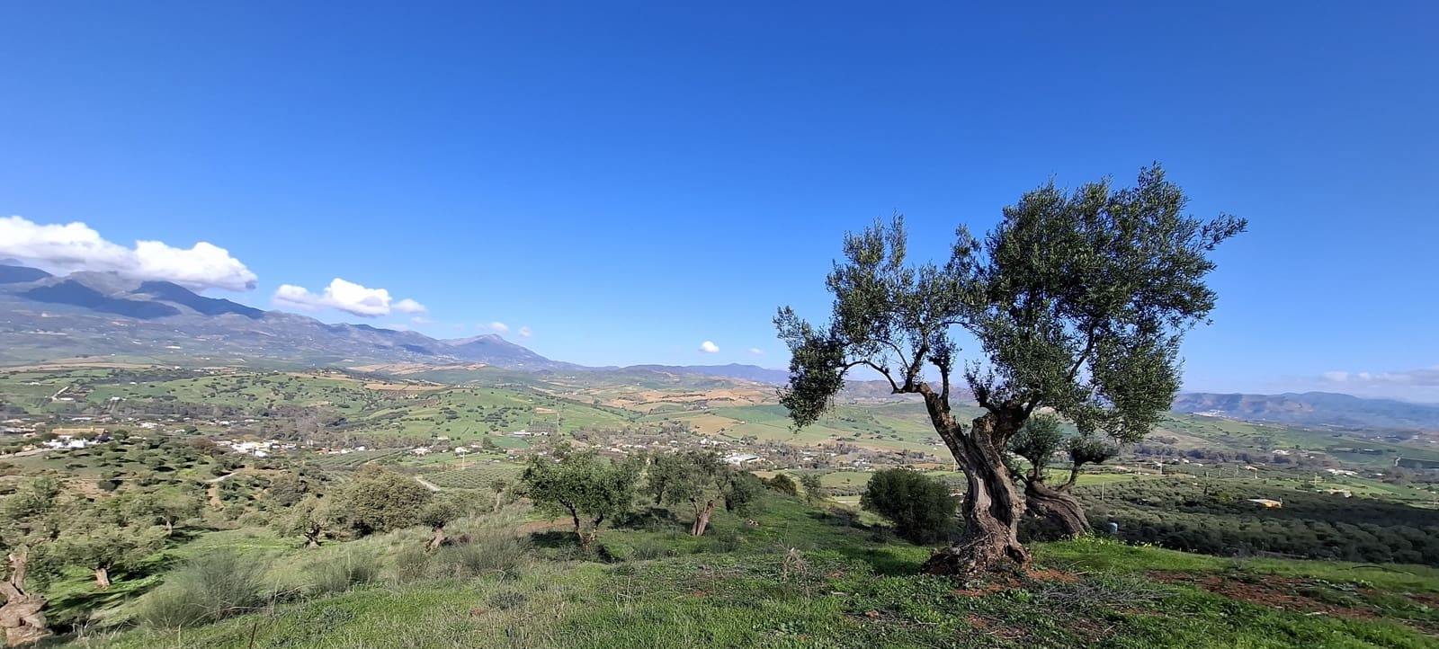 Bouwgrond te koop in Malaga stad - € 225.000 (Ref: 9202708)