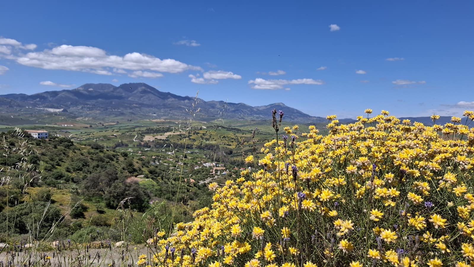 Bouwgrond te koop in Malaga stad - € 225.000 (Ref: 9202708)