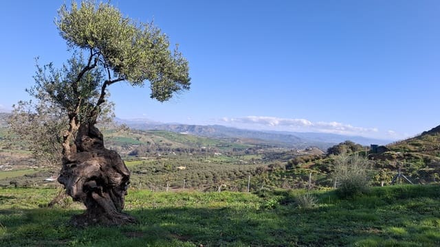 Building Plot for sale in Málaga city - € 225,000 (Ref: 9202708)