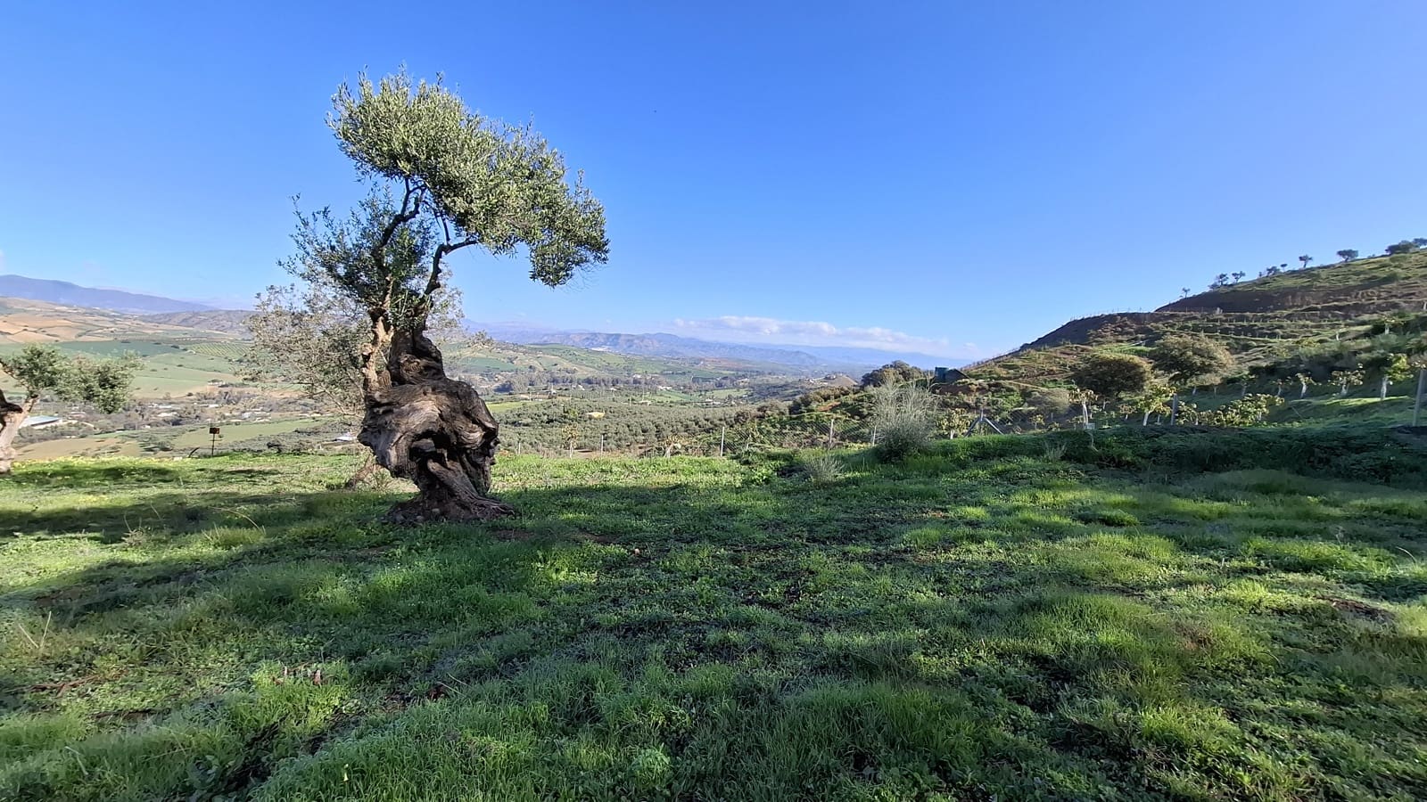 Bouwgrond te koop in Malaga stad - € 225.000 (Ref: 9202708)