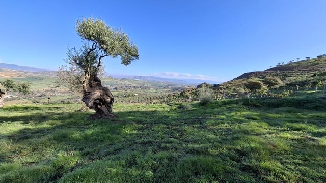 Building Plot for sale in Málaga city - € 225,000 (Ref: 9202708)