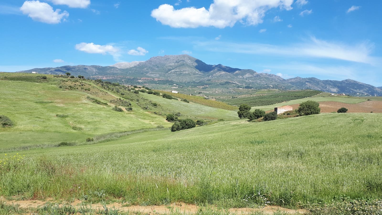 Bouwgrond te koop in Malaga stad - € 225.000 (Ref: 9202708)