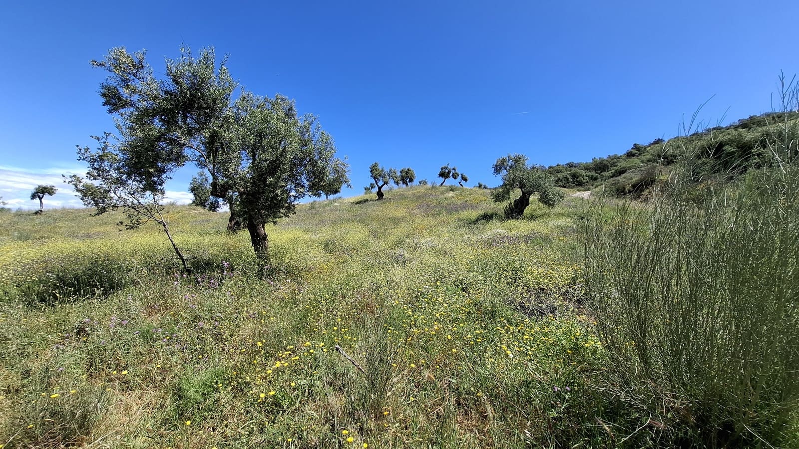 Bouwgrond te koop in Malaga stad - € 225.000 (Ref: 9202708)