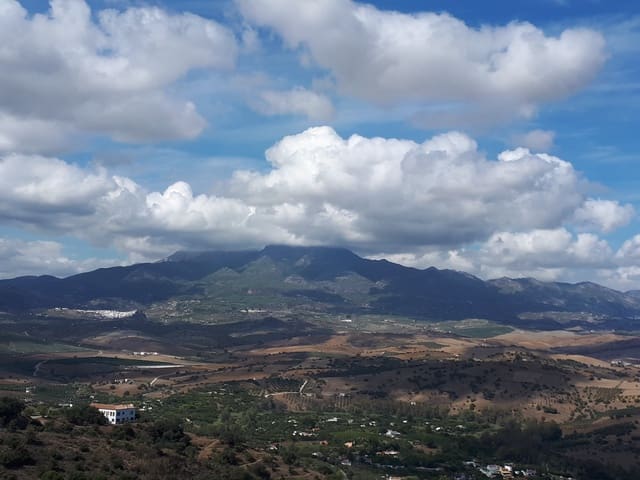 Finca/Landehus til salg i Coín - € 225.000 (Ref: 9203305)