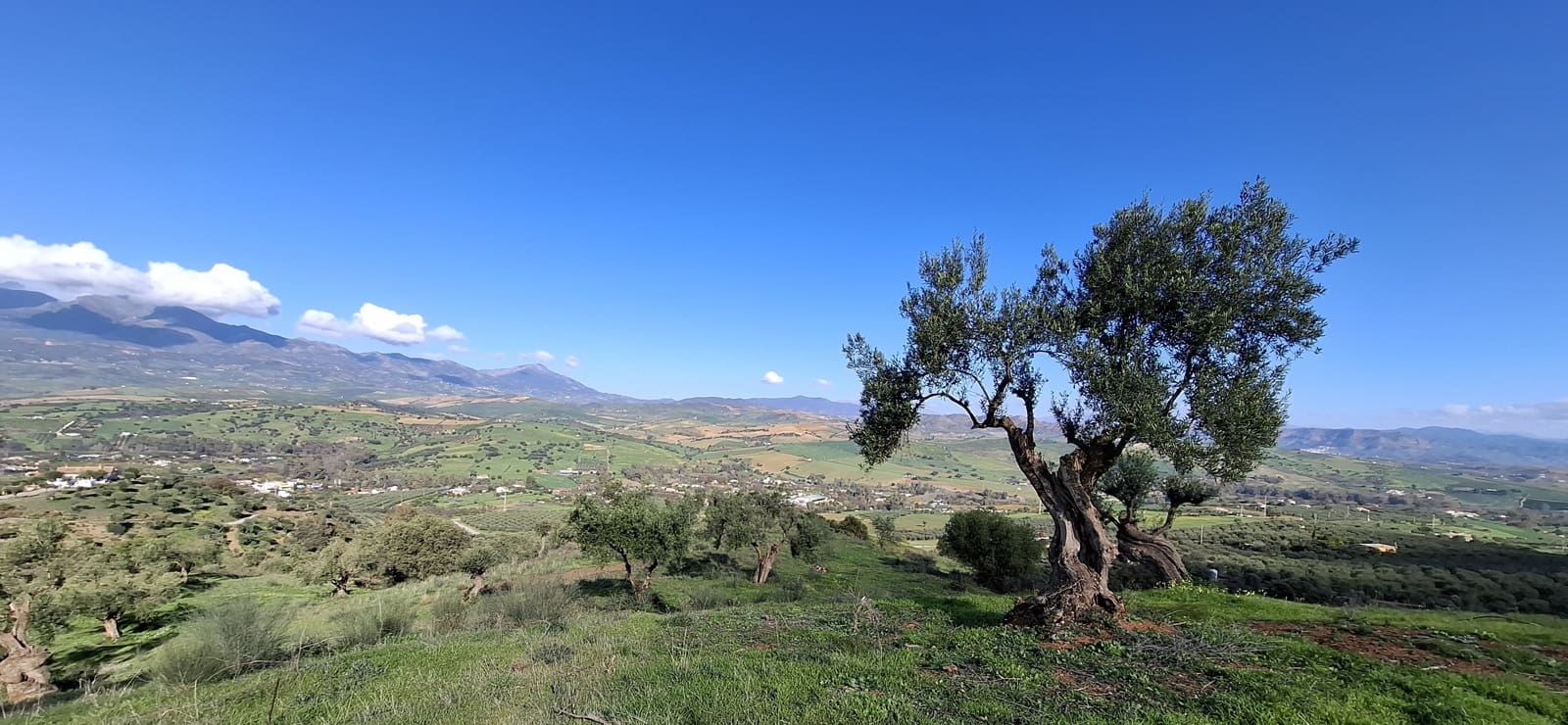 Finca/Landehus til salg i Coin - € 225.000 (Ref: 9203305)