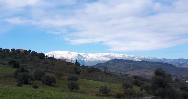 Finca/Landehus til salg i Coín - € 225.000 (Ref: 9203305)