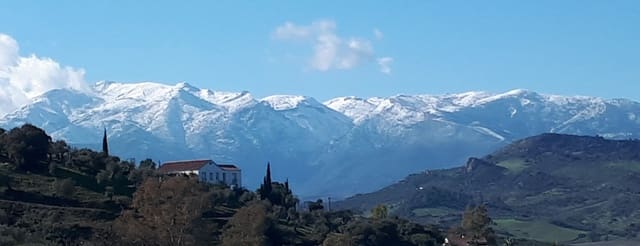 Tomt till salu i Málaga stad - 395 000 € (Ref: 9208672)