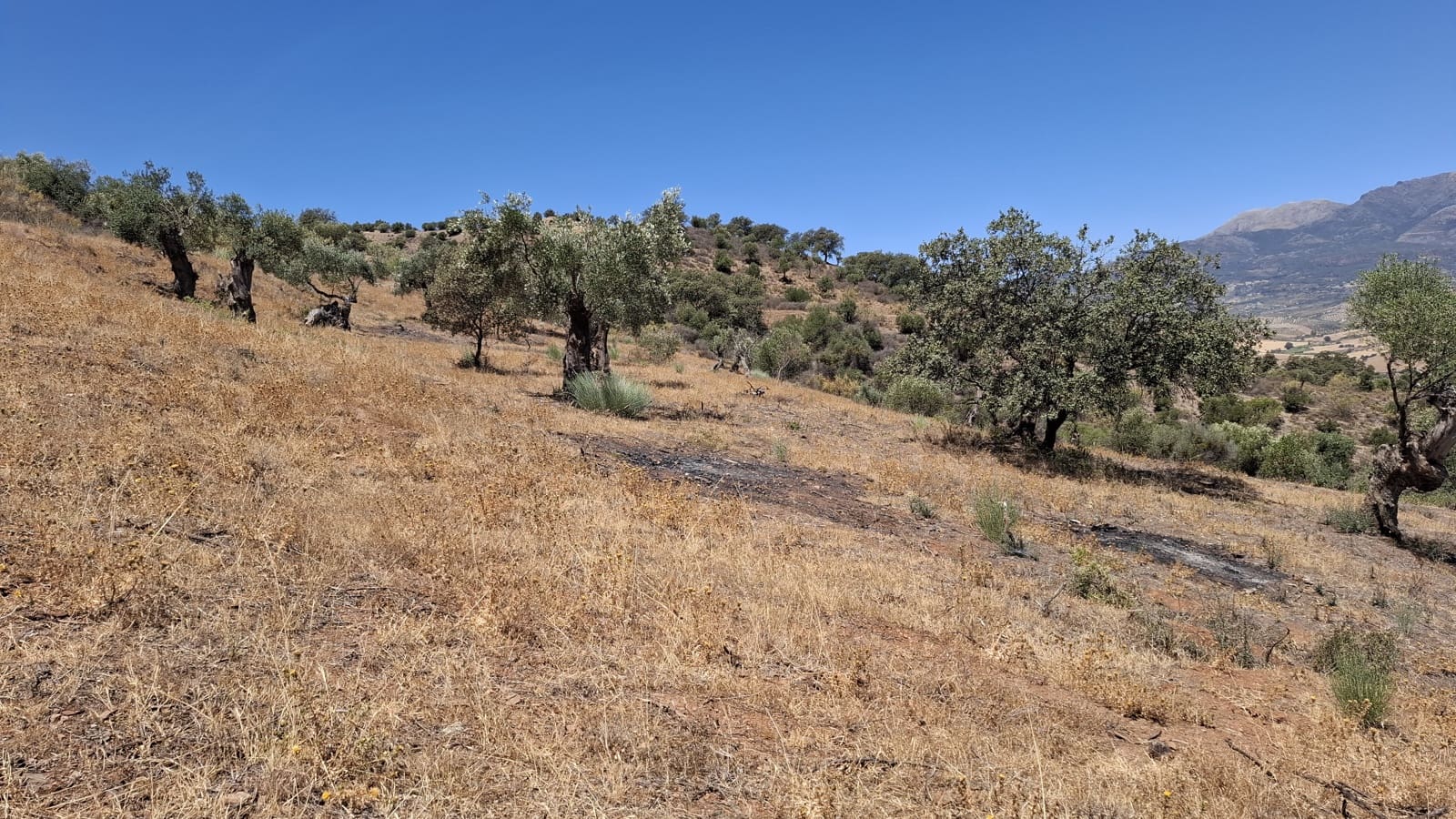 Byggetomt til salgs i Malaga by - € 395 000 (Ref: 9208672)