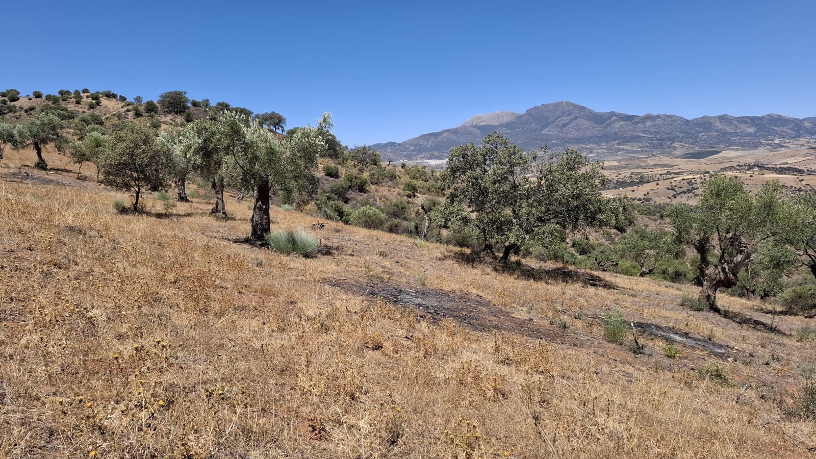 Byggetomt til salgs i Malaga by - € 395 000 (Ref: 9208672)