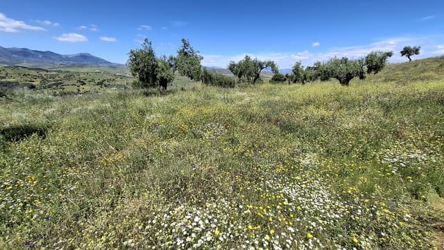 Tomt till salu i Málaga stad - 395 000 € (Ref: 9208672)