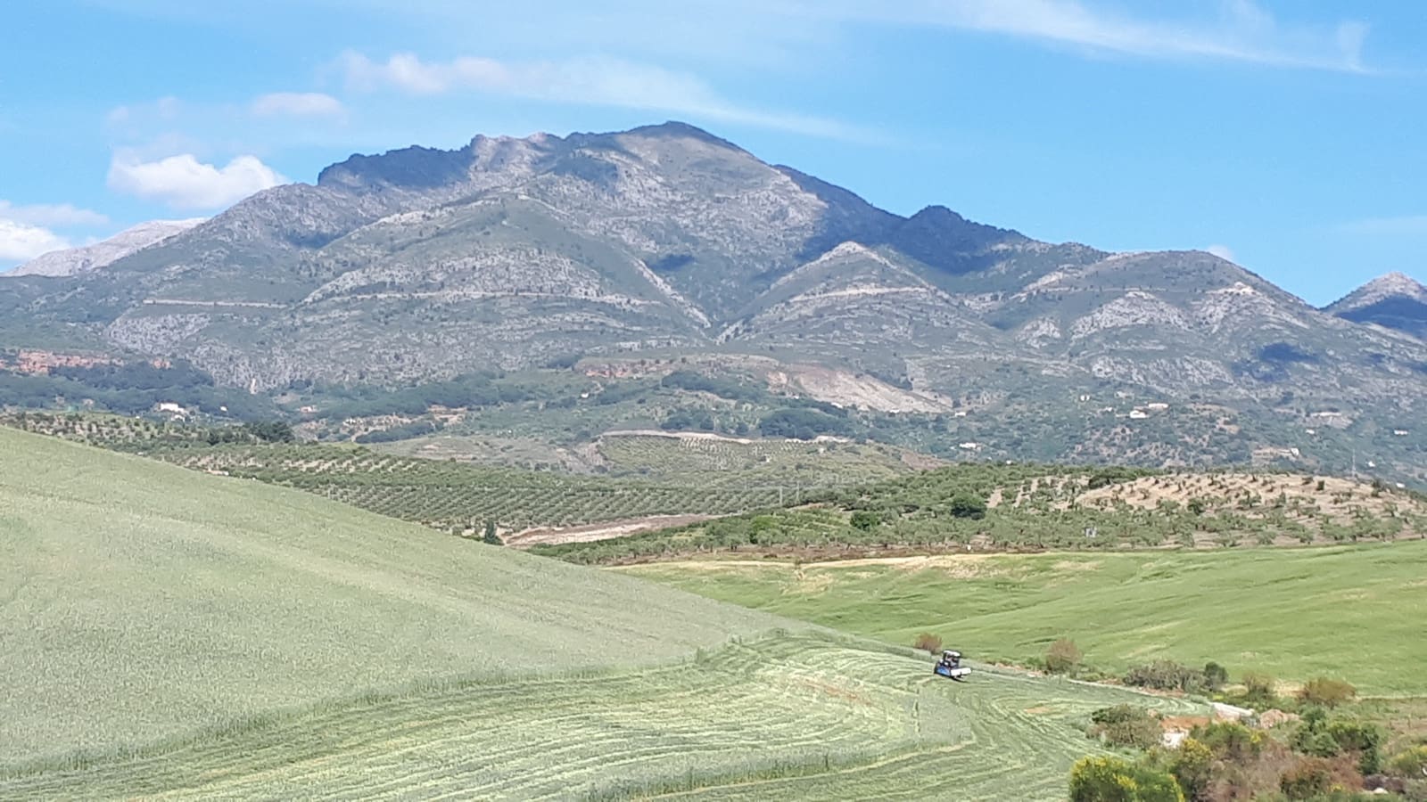 Finca/Landehus til salg i Coin - € 395.000 (Ref: 9208706)