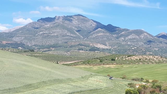 Finca/Landehus til salg i Coín - € 395.000 (Ref: 9208706)