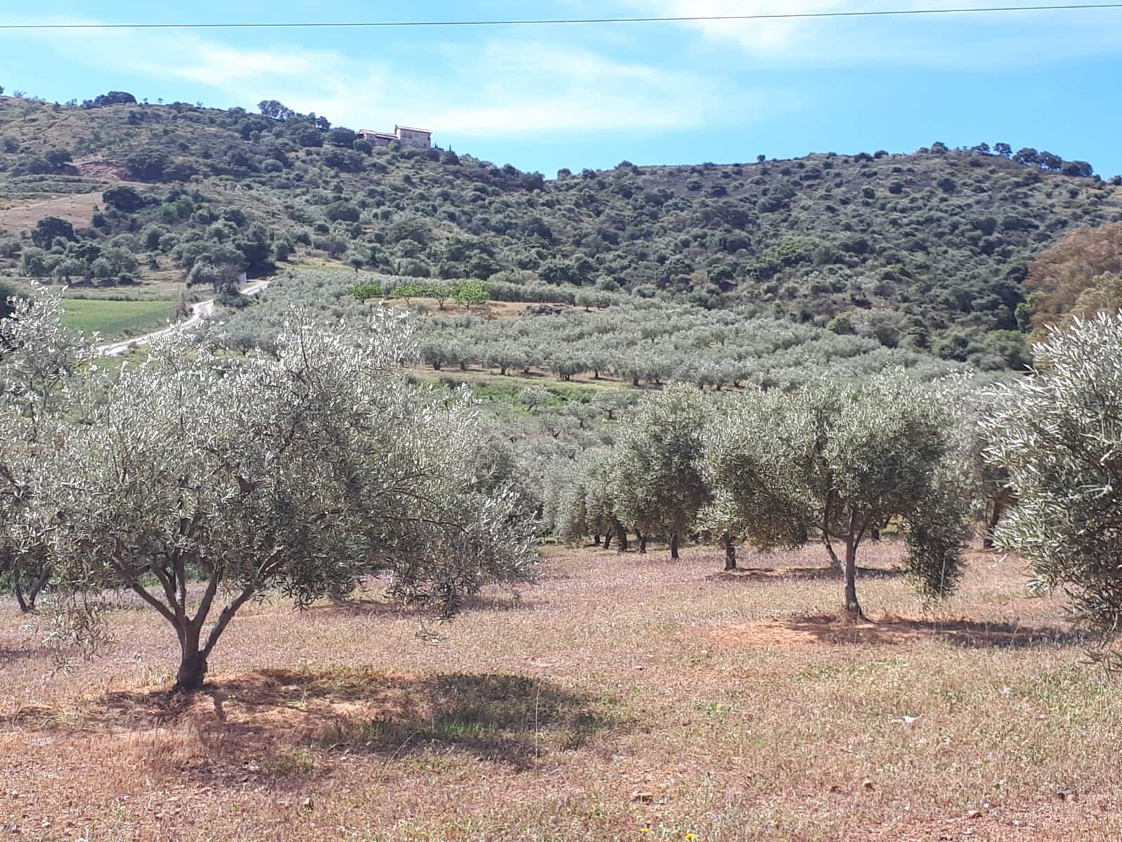 Finca/Landehus til salg i Coin - € 395.000 (Ref: 9208706)