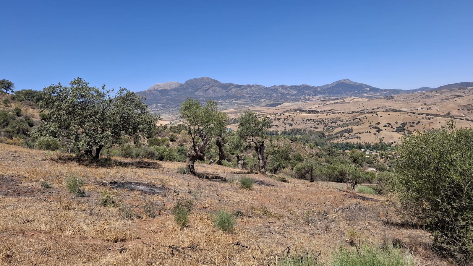 Finca/Landehus til salg i Coin - € 395.000 (Ref: 9208706)