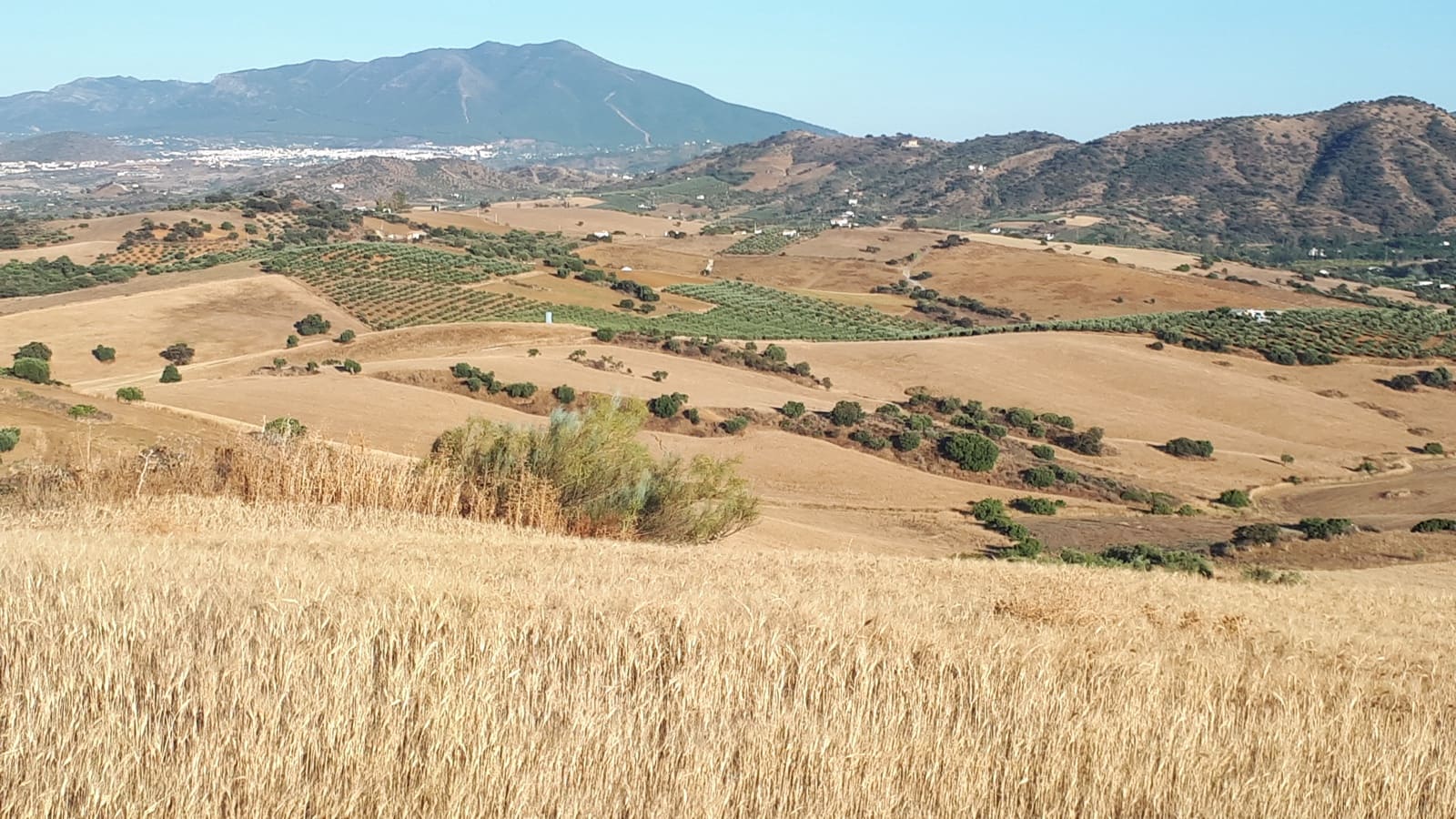 Finca/Landehus til salg i Coin - € 395.000 (Ref: 9208706)