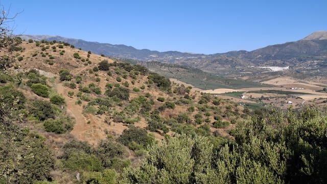 Building Plot for sale in Málaga city - € 300,480 (Ref: 9208915)