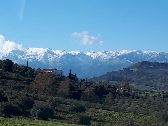 Building Plot for sale in Málaga city - € 300,480 (Ref: 9208915)