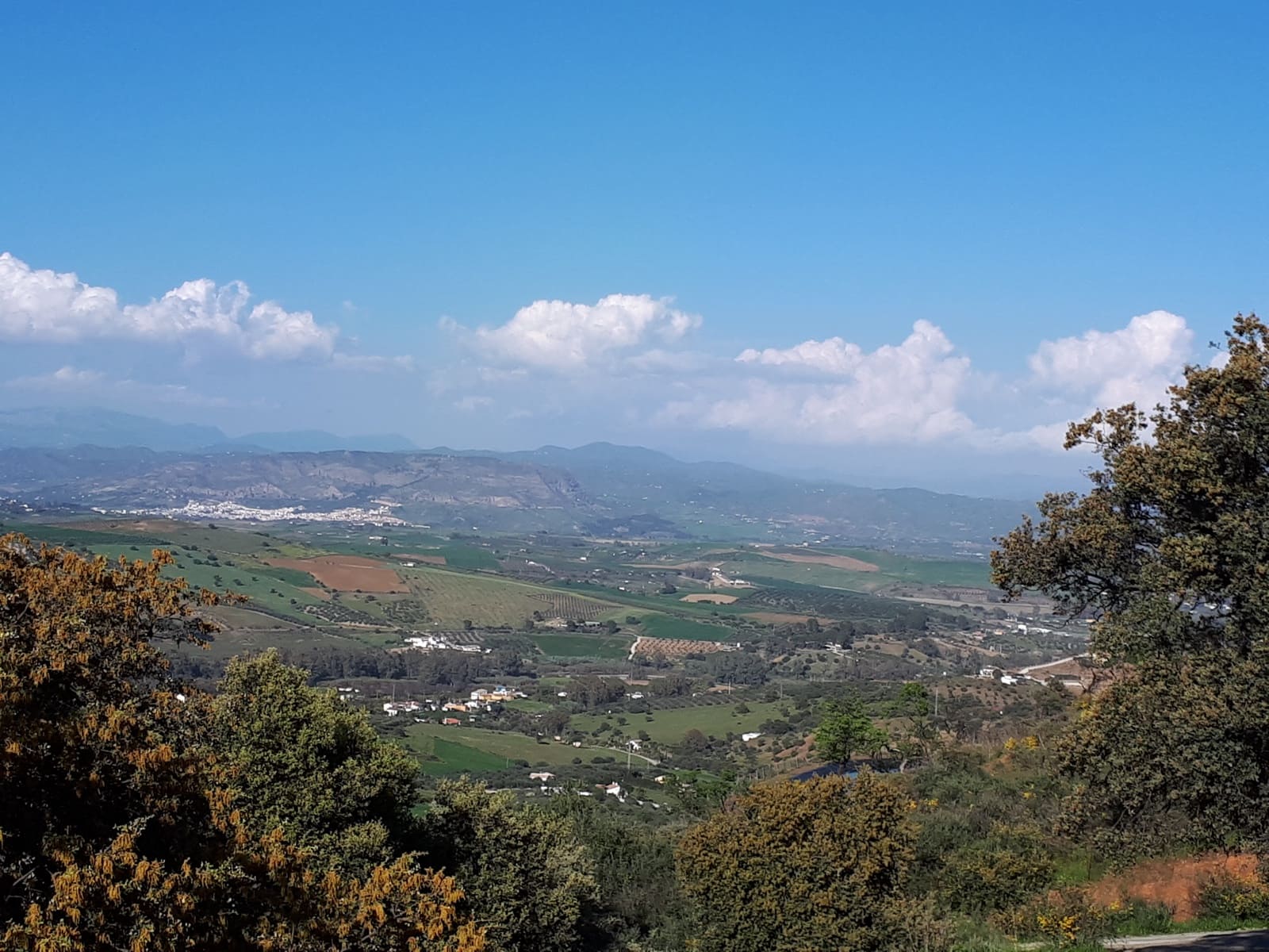 Tontti myytävänä paikassa Malaga kaupunki - 300 480 € (Ref: 9208915)