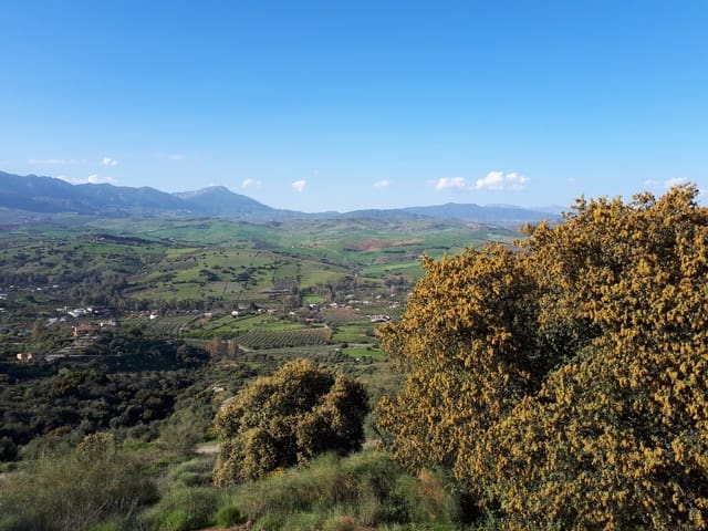 Building Plot for sale in Málaga city - € 300,480 (Ref: 9208915)