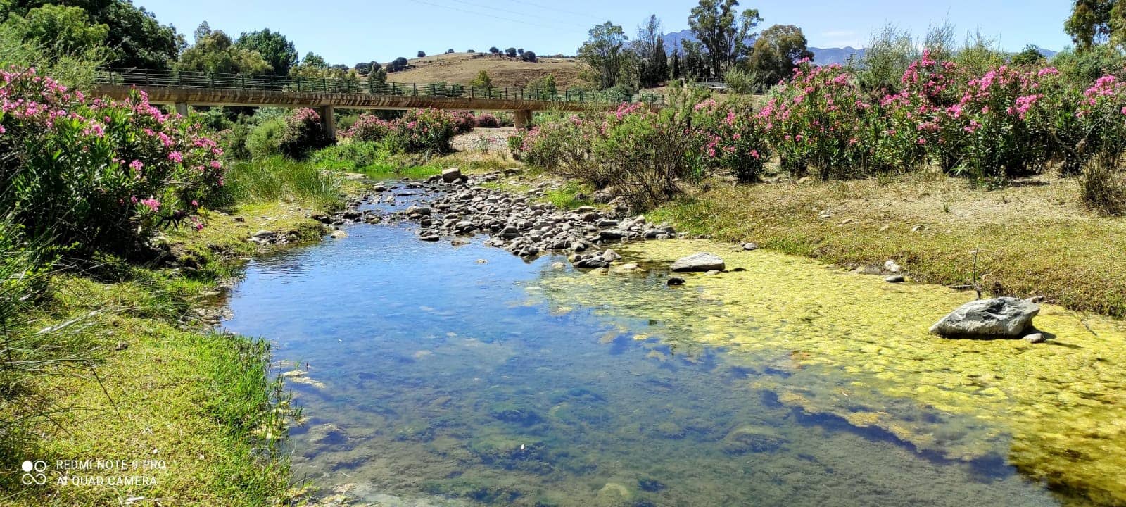 Finca/Landehus til salg i Coin - € 300.480 (Ref: 9208925)