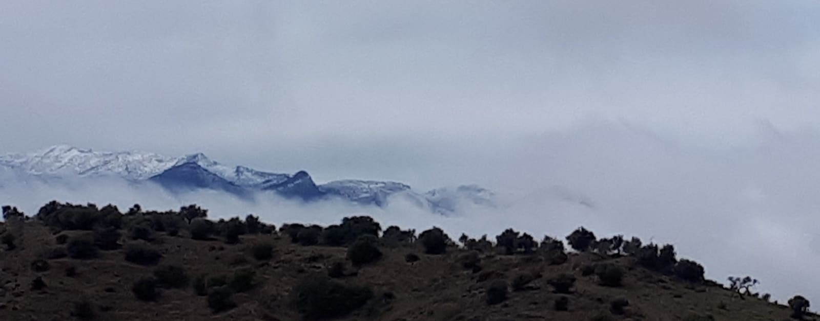 Finca/Landehus til salg i Coin - € 300.480 (Ref: 9208925)