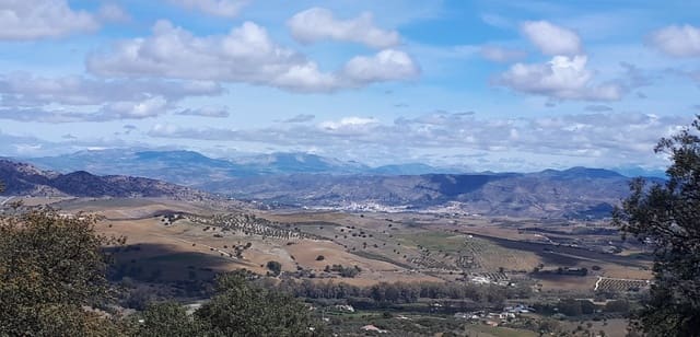 Finca/Landehus til salg i Coín - € 300.480 (Ref: 9208925)