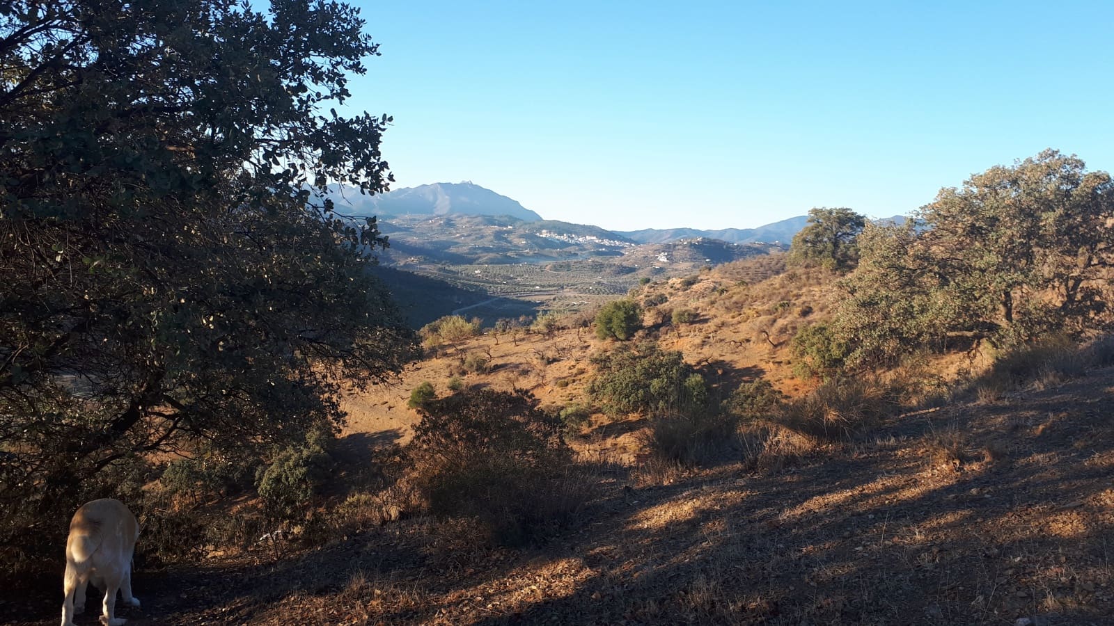 Finca/Landehus til salg i Coin - € 300.480 (Ref: 9208925)