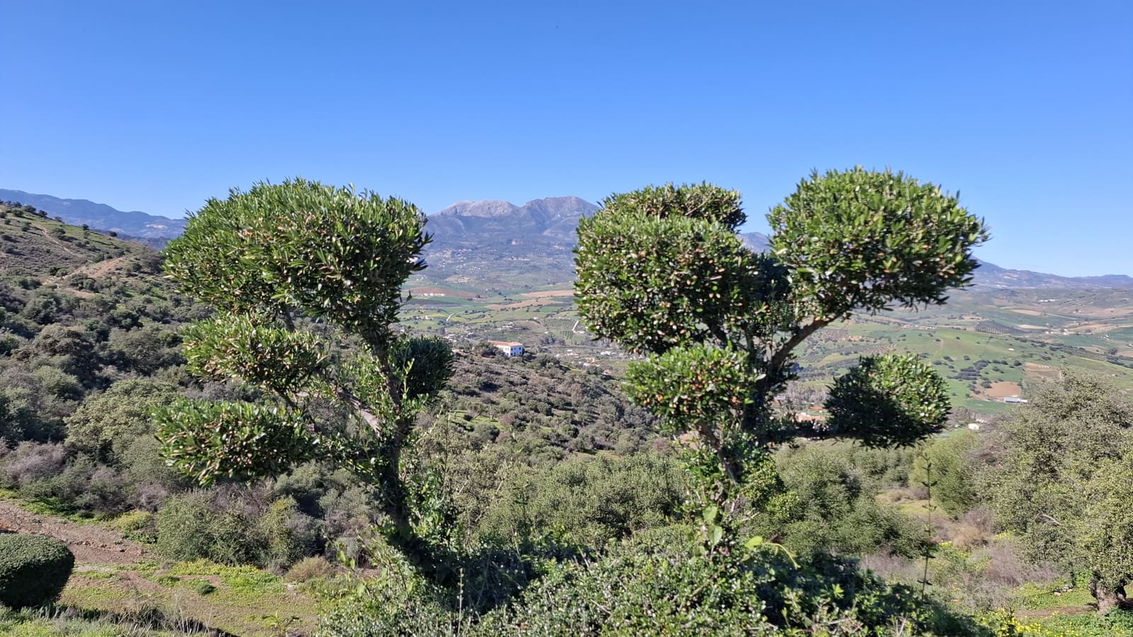 Byggegrund til salg i Marbella - € 400.900 (Ref: 9209018)