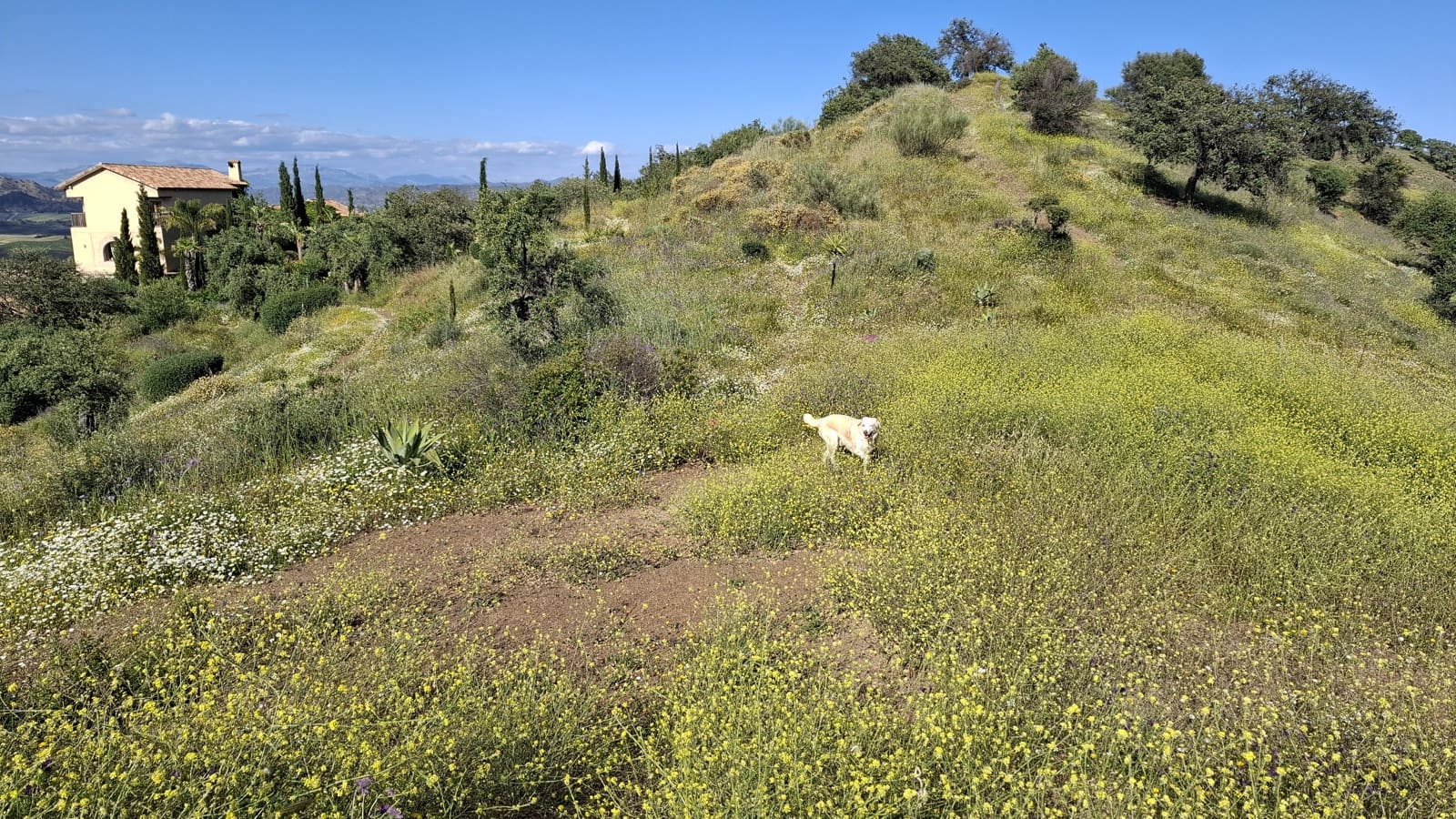 Byggegrund til salg i Marbella - € 400.900 (Ref: 9209018)