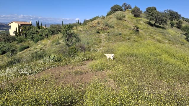 Byggegrund til salg i Marbella - € 400.900 (Ref: 9209018)