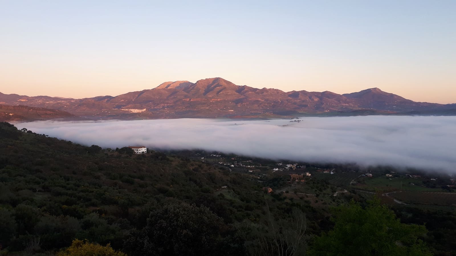 Finca/Landgut zu verkaufen in Marbella - 400.900 € (Ref: 9209019)